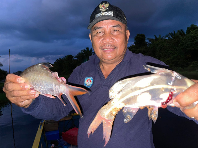 Warga menunjukkan ikan-ikan di Sungai Retok yang mati. Foto: Dok Hi!Pontianak