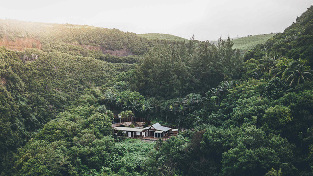 Ilustrasi rumah di tengah hutan. Foto: Thomas Lotter/Shutterstock