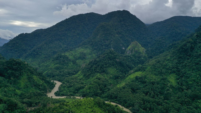 Salah satu kawasan hutan Aceh di Kabupaten Gayo Lues. Foto: Abdul Hadi/acehkini