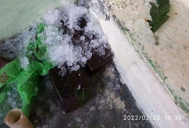 Fenomena hujan menyerupai buritan es yang terjadi di Sekincau Kabupaten Lampung Barat, Minggu (20/2). Foto : Istimewa via Lampung Geh