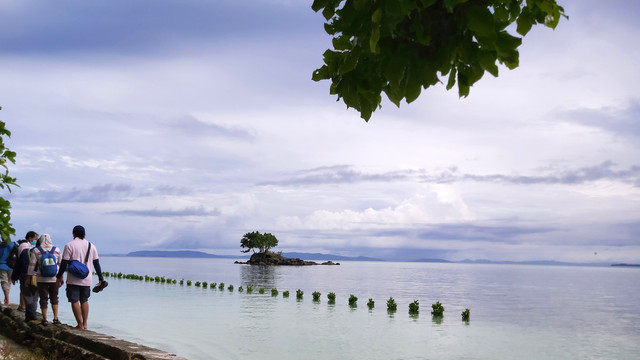 Lokasi penanaman Lamun. Foto: Nadia Riso/kumparan