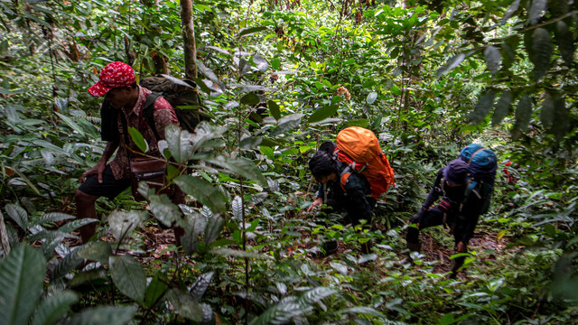 Mawi (kiri) bersama Tim Smart Patrol Lingkar Inisiatif menyusuri hutan di kawasan Taman Nasional Kerinci Sebelat (TNKS), Musi Rawas Utara (Muratara), Sumatera Selatan. Foto: Nova Wahyudi/Antara Foto