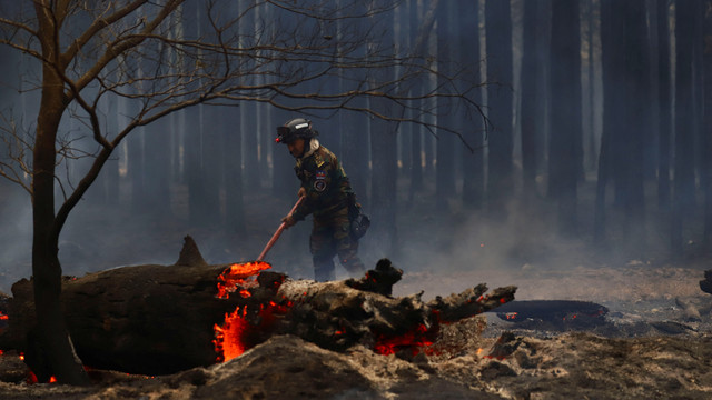 Seorang tentara memadamkan api yang terus menghanguskan pepohonan dan padang rumput di Ituzaingo, provinsi Corrientes, Argentina 20 Februari 2022. Foto: REUTERS/Matias Baglietto