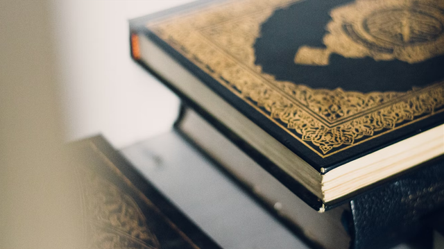 Ilustrasi Surat Al-An'am ayat 48. Foto: unsplash.com/@mahdi17