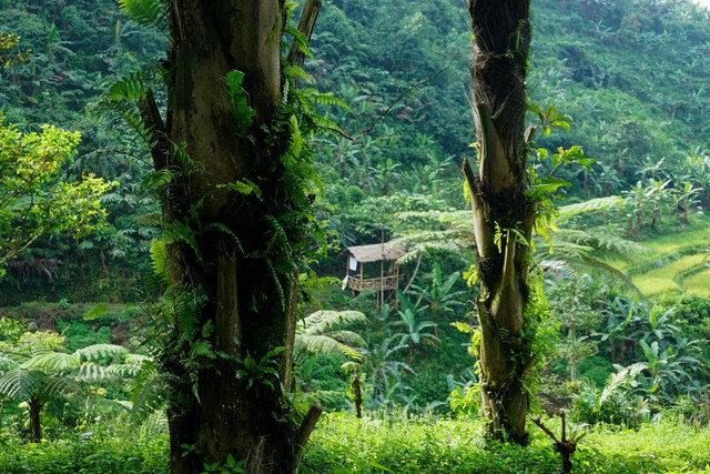 Rekomendasi Travel Bandung-Sukabumi Terbaik, Foto: Unsplash/Ariq Naufal 
