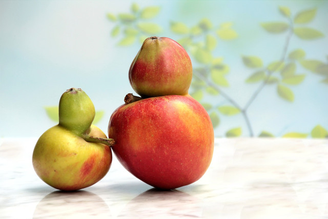 Ilustrasi mutasi makhluk hidup. Foto: Pixabay.com