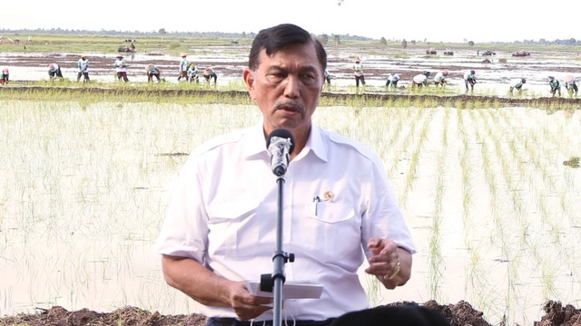 Menko Marves Luhut Binsar Pandjaitan saat mengunjungi food estate di Desa Bentuk Jaya (A5), Kecamatan Dadahup, Kabupaten Kapuas, Kalimantan Tengah, Selasa (6/4). Foto: Kementan RI