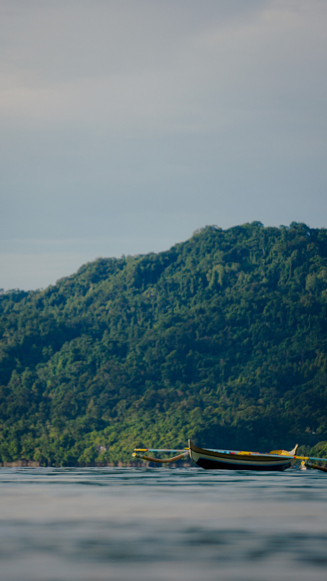 Ilustrasi Pakaian Adat Maluku, Foto: Unsplash/Alvensia Angela