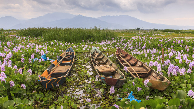 Danau Rawa Pening di Semarang. Foto: Andreas H/Shutterstock