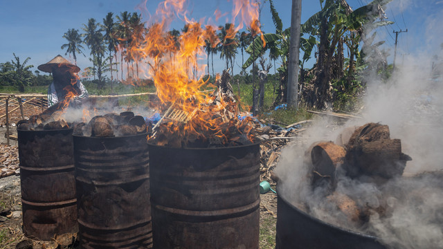 SEBAGAI ILUSTRASI: Seorang pekerja membakar tempurung kelapa untuk dijadikan arang di Desa Kasoloang, Pasang Kayu, Sulawesi Barat, Kamis (10/3/2022). Foto: ANTARA FOTO/Basri Marzuki