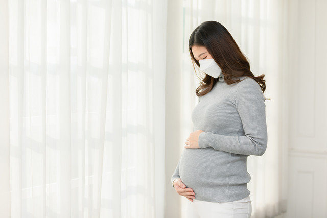 Ilustrasi ibu hamil di masa pandemi. Foto: Shutterstock