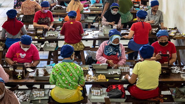 Pekerja menyortir rokok Sigaret Kretek Tangan (SKT) di pabrik rokok PT Praoe Lajar yang menempati bekas kantor perusahaan listrik swasta Belanda NV Maintz & Co, di kawasan Cagar Budaya Nasional Kota Lama Semarang, Jawa Tengah, Kamis (24/2/2022).  Foto: Aji Styawan/ANTARA FOTO