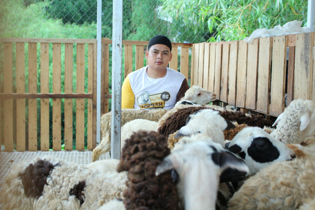 Rudy Febrianto bersama ternak kambingnya. dok