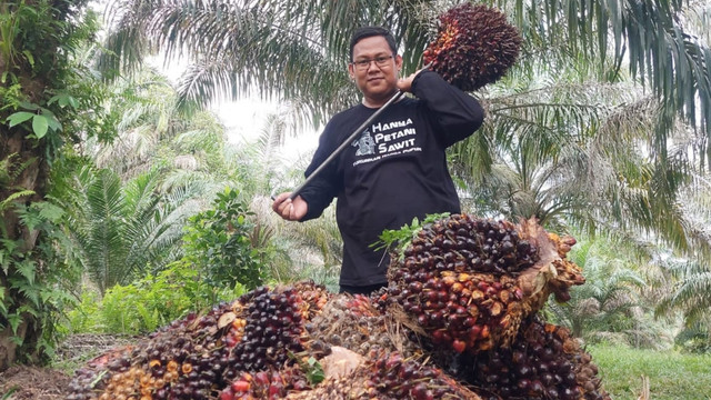 SEORANG petani sawit dengan hasil sawitnya. 
