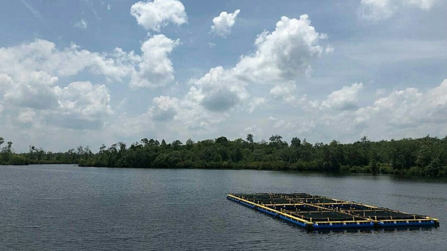 Danau Gatal, Kotawaringin Lama. foto: IST