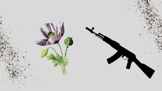 Ilustrasi candu yang ditukar dengan senjata. Dok : pribadi