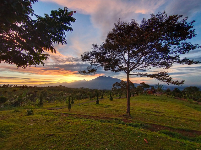 Sumber Foto : Pribadi