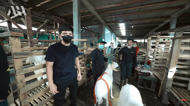 Atta Halilintar siapkan kambing untuk akikah baby Ameena. Foto: Youtube/@AH