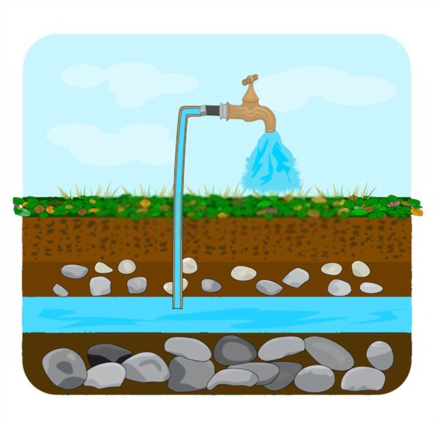 Ilustrasi dari Shutterstock.com