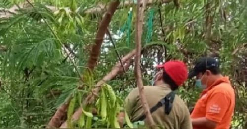 Olah TKP petugas kepolisian di lokasi ditemukannya jenazah Valent. Foto: Dok. Polsek Rungkut