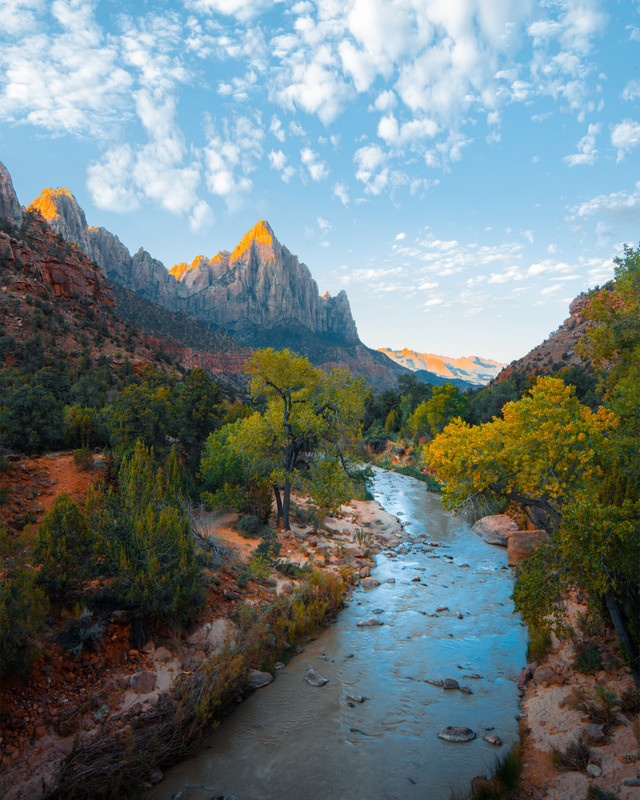  Caption tentang alam,  Foto: Michael Block/Pexels