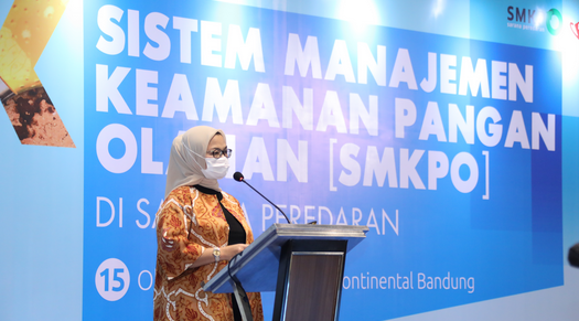 Dokumentasi Badan POM