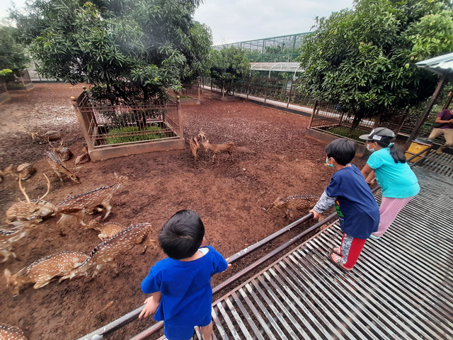 Merdeka Belajar. Belajar bersama alam. Foto: Dok. Pribadi