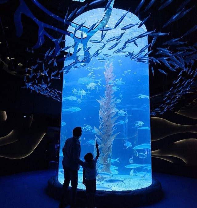 Ilustrasi tempat wisata di Jakarta yang buka saat libur Lebaran Foto: Instagram/ @jakartaaquarium