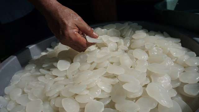 Kolang Kaling (Foto: Aditia Noviansyah/kumparan)