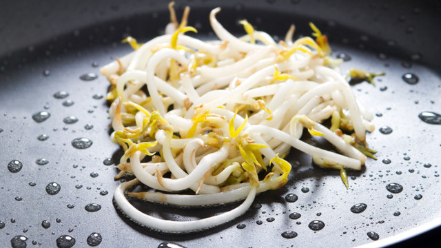 Ilustrasi manfaat taoge. Sumber: Kumparan.com