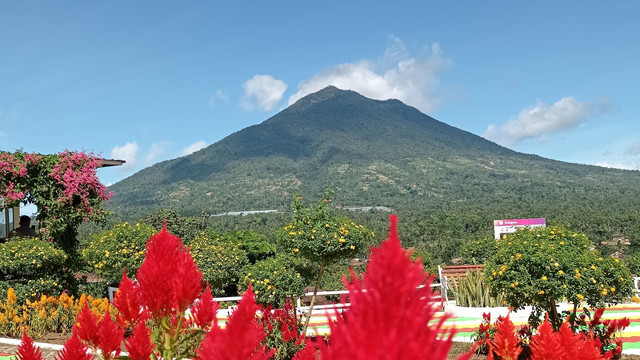 Gambar pemandangan Gunung Tanggamus dari Bukit Idaman Gisting (Foto: Salma Aulia)