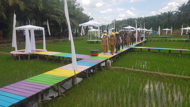 Bupati Kotawaringin Barat, Nurhidayah saat meninjau lokasi wisata sawah Tirta Mulya di Desa Pangkalan Dewa, Kecamatan Pangkalan Lada. Foto: Lukman Hakim