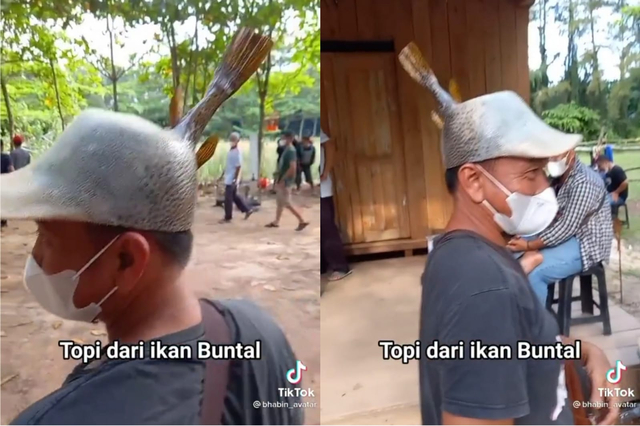 Pria pengguna topi yang terbuat dari ikan buntal. Foto: Tangkapan Layar TikTok @bhabin_avatar