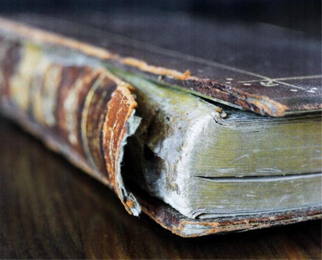 Pengertian Kitab Zabur dan Ajaran Pokoknya, Foto: Flickr 
