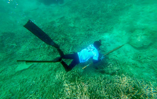 Snorkeling sambil menembak ikan. Foto: Suparta/acehkini