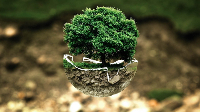 Gambar Oleh Bela Geletneky dari Pixabay