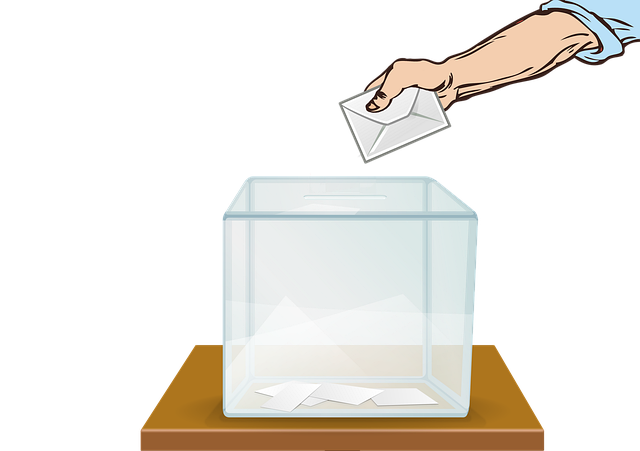 Ilustrasi: Partisipasi Warga Negara dalam Sistem Politik di Indonesia. Foto: Pixabay