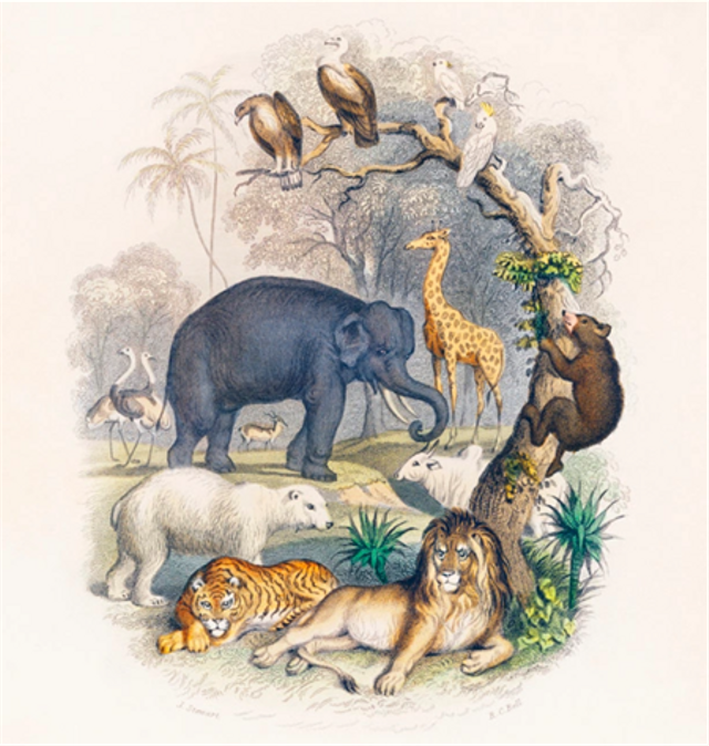 Ilustrasi klasifikasi makhluk hidup. Sumber: https://www.freepik.com/