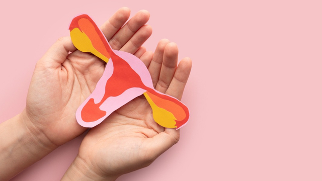 Ilustrasi rahim Foto: Shutter Stock