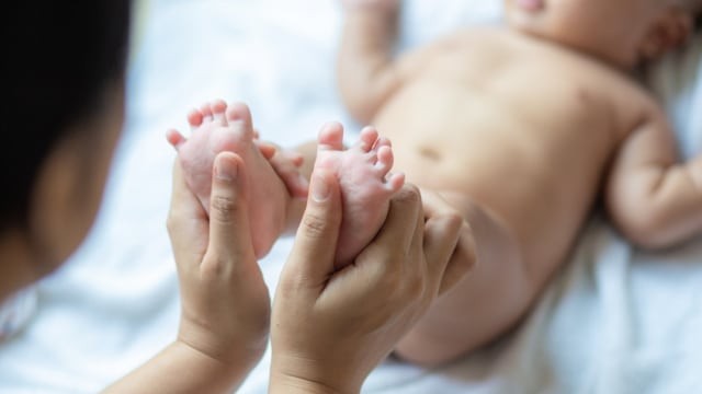 Ilustrasi manfaat daun jarak untuk bayi. Foto: Shutterstock