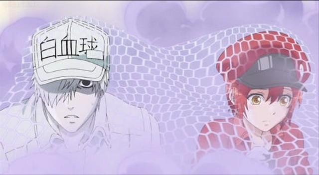 Jadwal Tayang Hataraku Saibou di Net TV Foto: IMDb