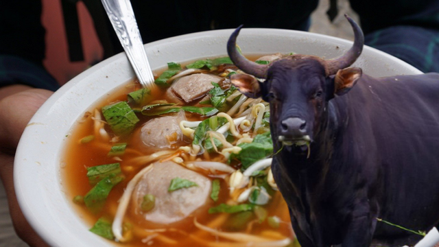 Ilustrasi bakso dan banteng. Olah gambar: ESP