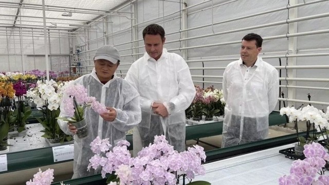 Jack Ma muncul di Belanda. Foto: Handout via South China Morning Post