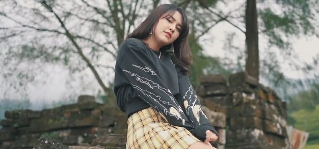 Ilustrasi Lirik Lagu dan Chord Cidro 2 - Happy Asmara. Foto: youtube Fortuna Enterprise