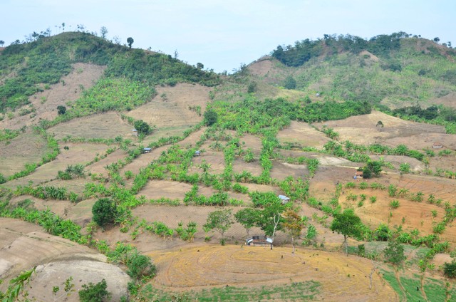 Kondisi kawasan hutan yang gersang di pegunungan Patiayam, Jekulo, Kudus, Jawa Tengah, Kamis (28/10/2021). Foto: Yusuf Nugroho/Antara Foto