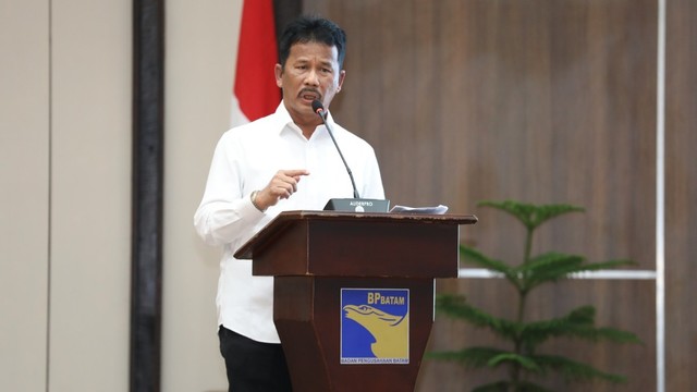 Kepala BP Batam, Muhammad Rudi. Foto: Dok BP Batam.