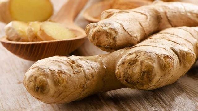 Salah satu tanaman obat yang banyak dikenali oleh masyarakat Indonesia adalah temulawak. Foto: Shutterstoks.com.