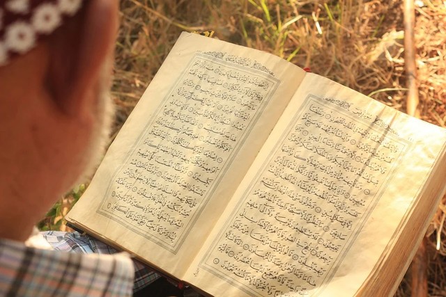 Ilustrasi surat Al Fath ayat 28. Foto: dok. https://pixabay.com/