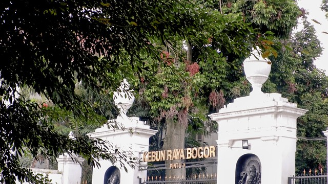 Foto: Dianti Maharani/Mahasiswa Ilmu Komunikasi