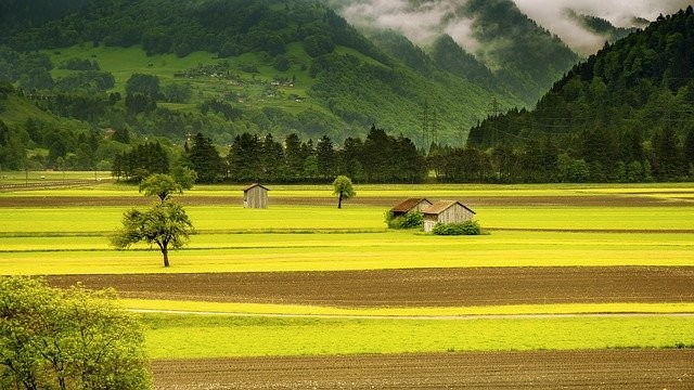 Ilustrasi Usaha sampingan di desa. Foto: Pixabay